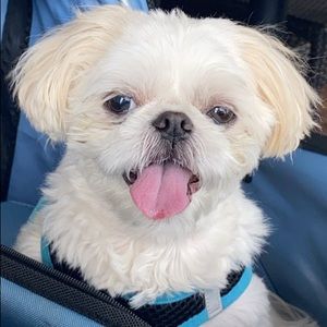 Meet your Posher, Maddy